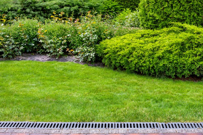 Backyard Drainage Solutions